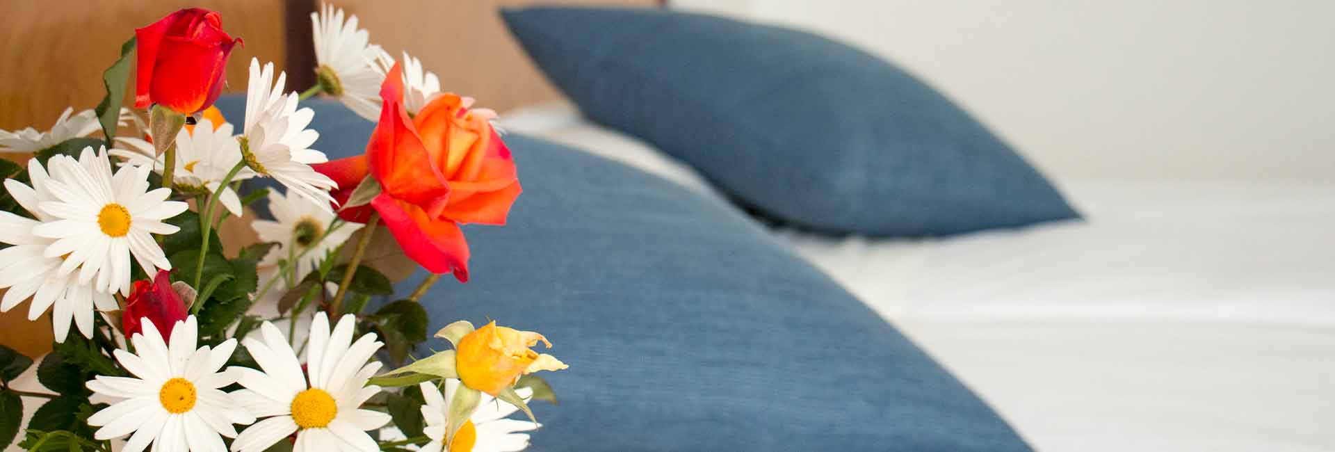 galeria de fotos hotel voramar mallorca hero galeria hotel voramar mallorca